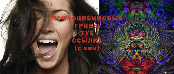 мяу мяу мука Баксан