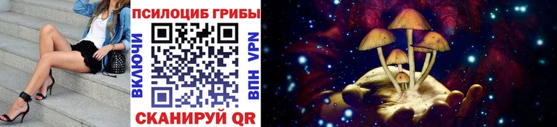 Псилоцибиновые грибы Cubensis  магазин продажи   Певек 